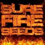 Sure Fire Seeds's image