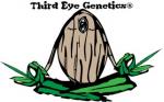 Third Eye Genetics's image