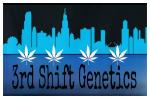 3rd Shift Genetics's image