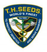 TH Seeds's image