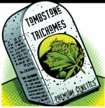 Tombstone Trichomes's image