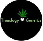 Treeology Genetics's image