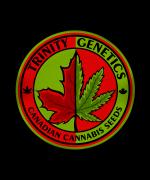 Trinity Genetics's image