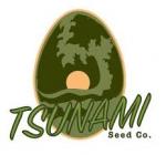 Tsunami Seed Co's image