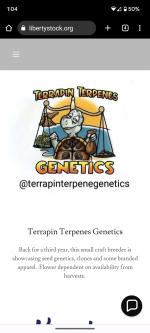 Terrapin Terpenes Genetics's image