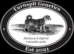 Turnspit Genetics's image