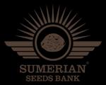 Sumerian Seeds Bank's image