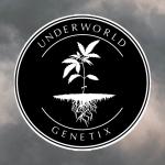 Underworld Genetix's image