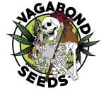 Vagabond Seeds's image