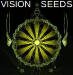 Vision Seeds's image