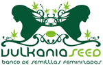 Vulkania Seeds's image