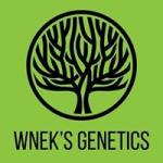 Wnek's Genetics's image