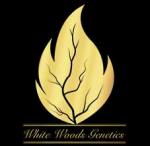 White Woods Genetics's image