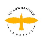 Yellowhammer Genetics's image