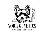 York Genetics's image