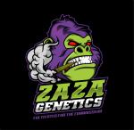 ZaZa Genetics's image