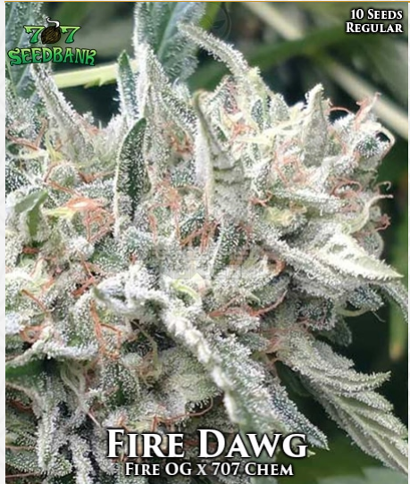 An image of Fire Dawg