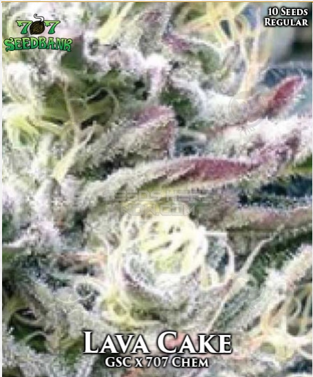 An image of Lava Cake