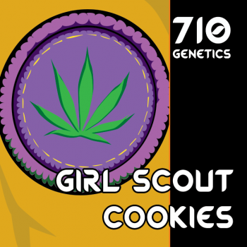 An image of Girl Scout Cookies