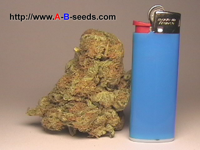 An image of High-Grade