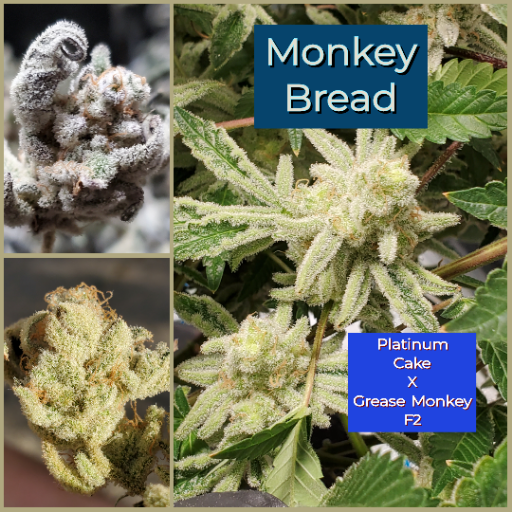 An image of Monkey Bread