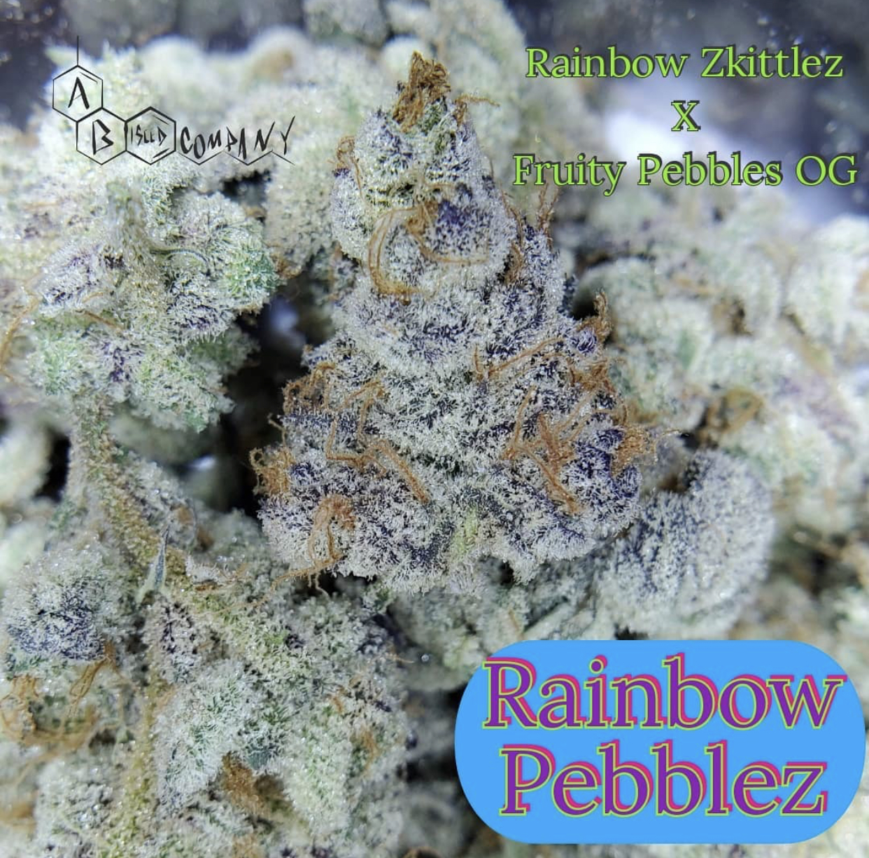 An image of Rainbow Pebblez