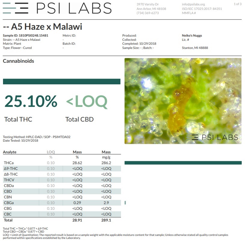 An image of Killer A5 Haze