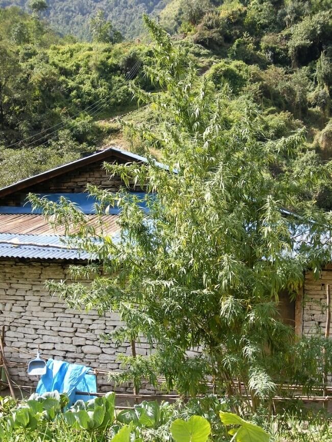 An image of Nepal Annapurna