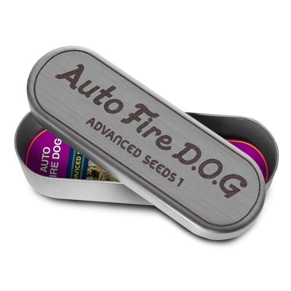 An image of Fire Dog Auto