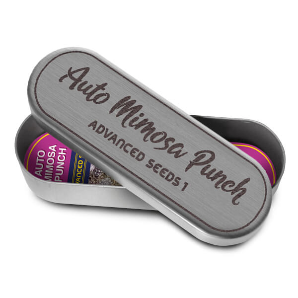 An image of Mimosa Punch Auto