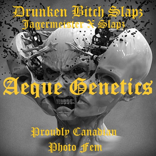 An image of Drunken Bitch Slaps