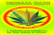 An image of Senegal Haze
