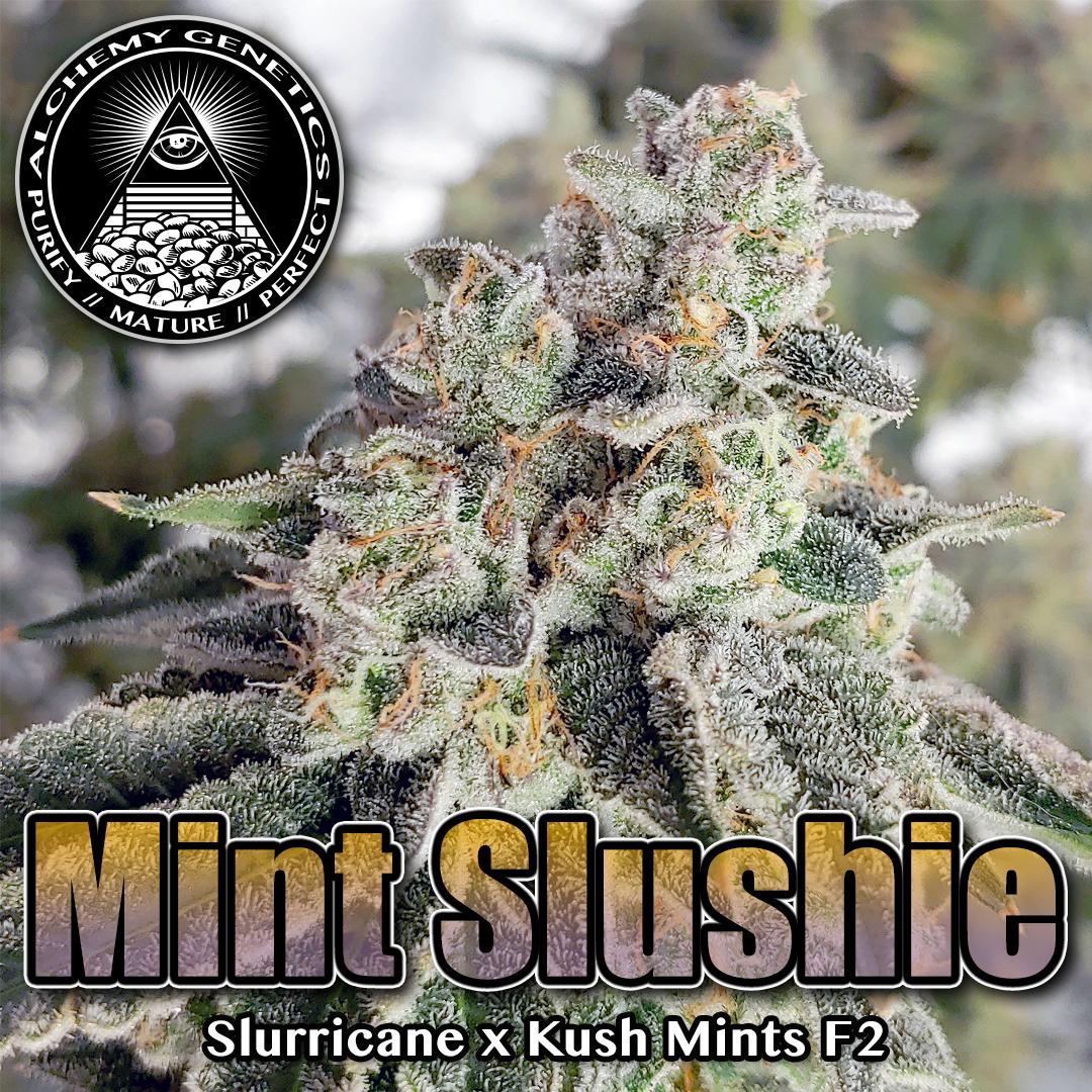 An image of Mint Slushie