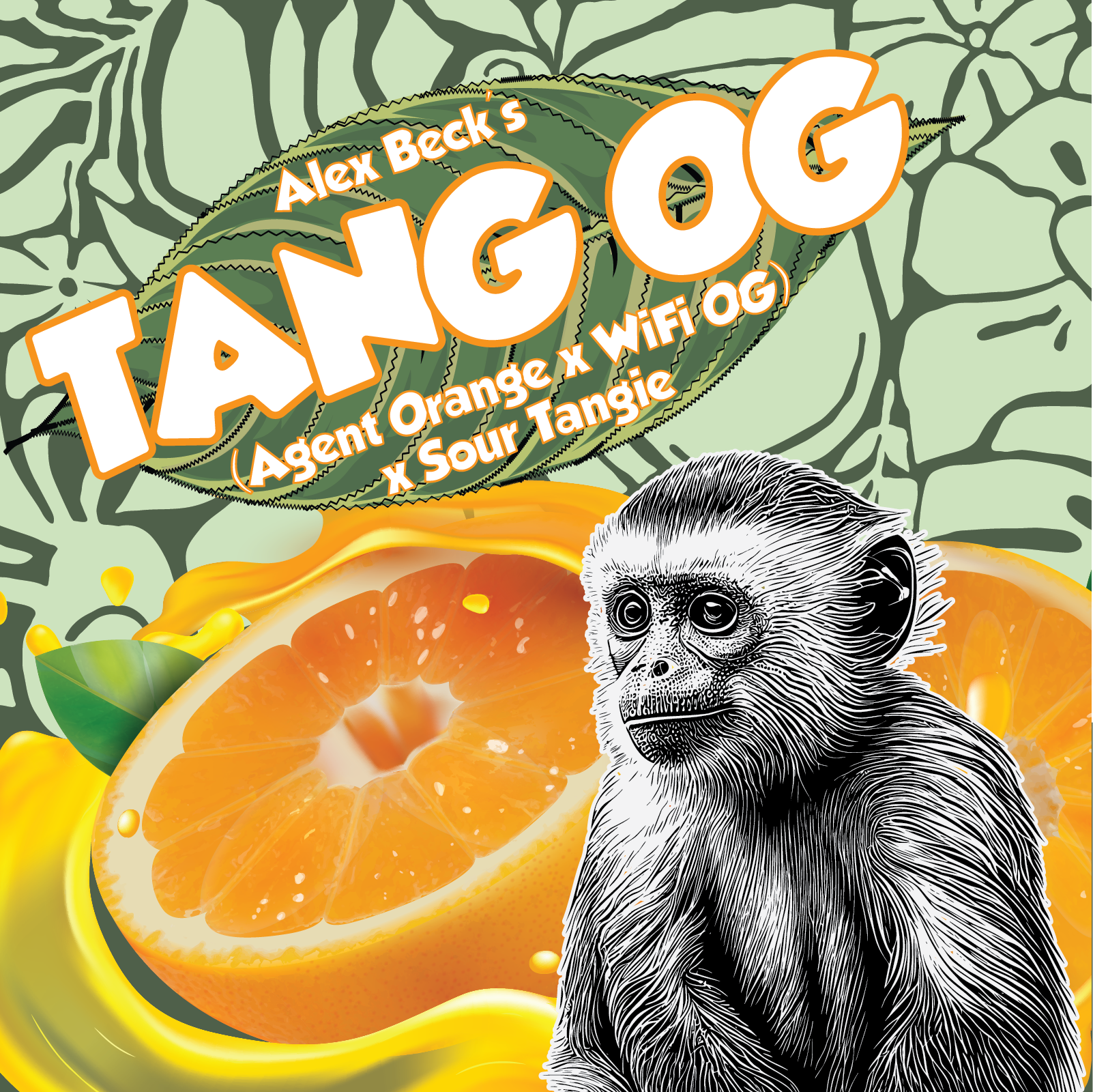 An image of Tang OG