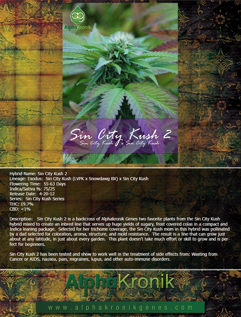 An image of Sin City Kush 2