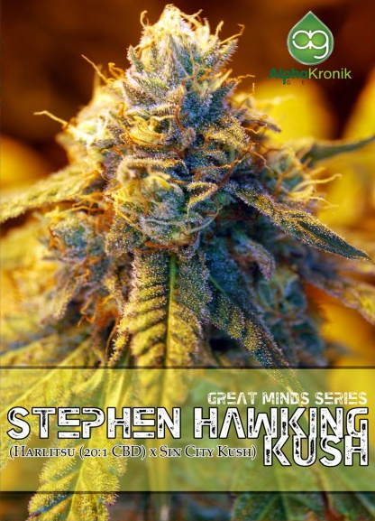 An image of Stephen Hawking Kush