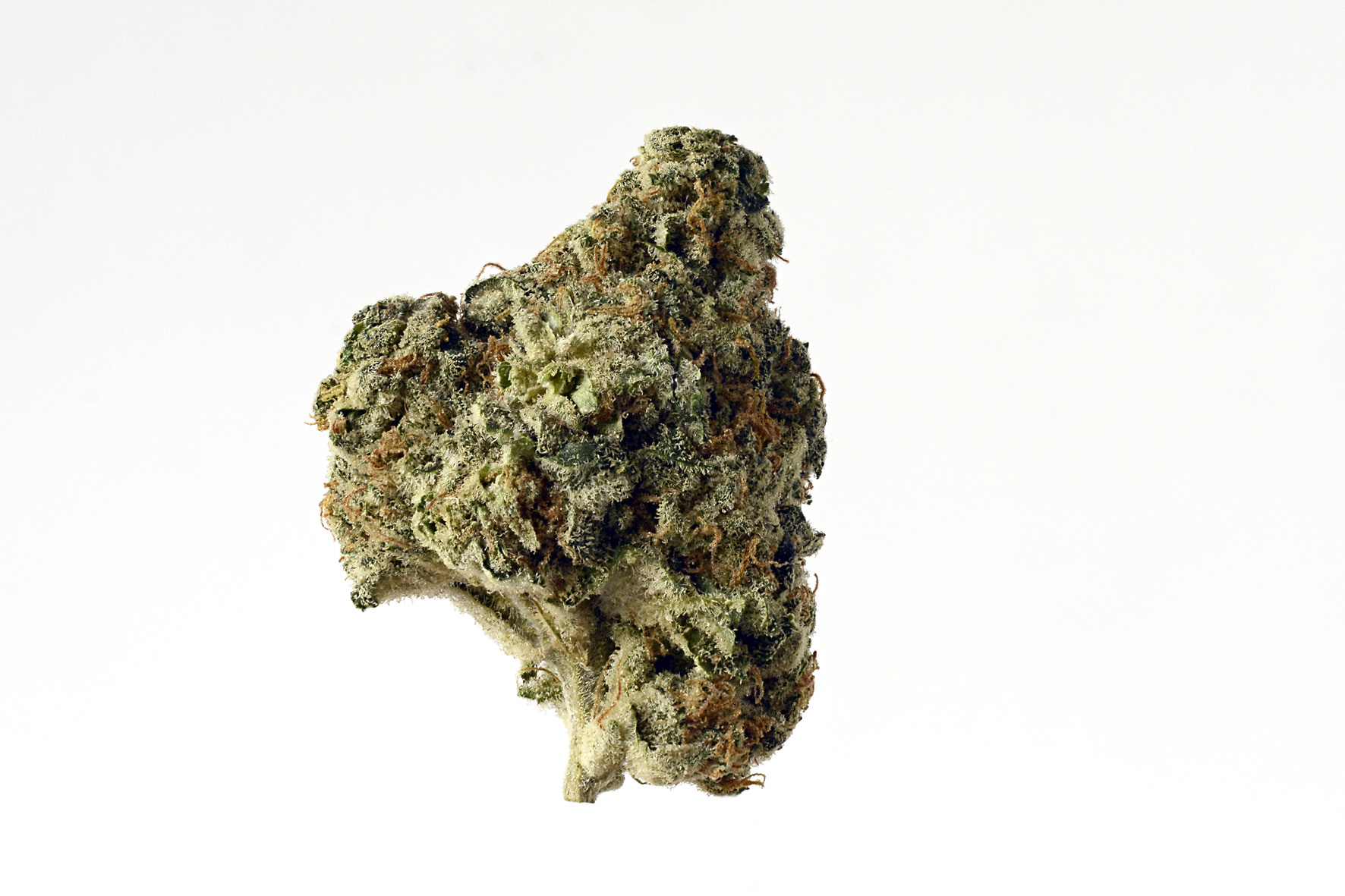 An image of AK Choco Kush