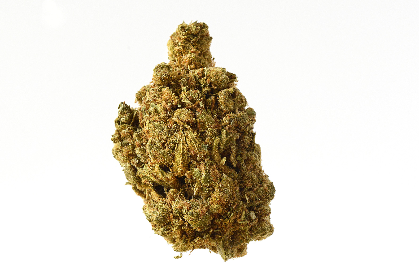 An image of Blue Amnesia