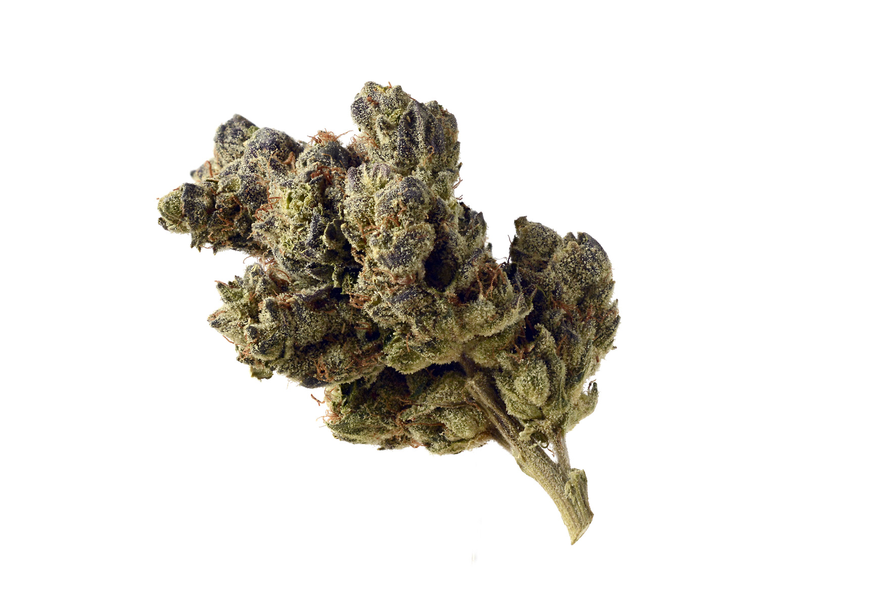 An image of Blue Magic