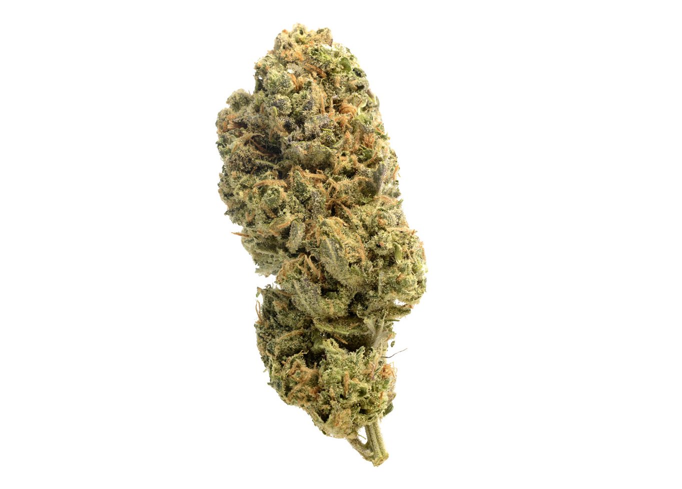 An image of Grapefruit Superstar