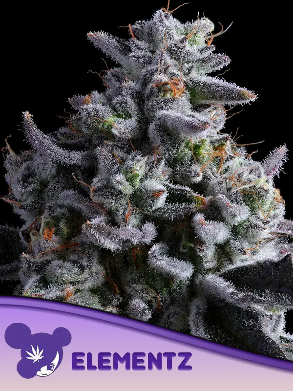 An image of Elementz