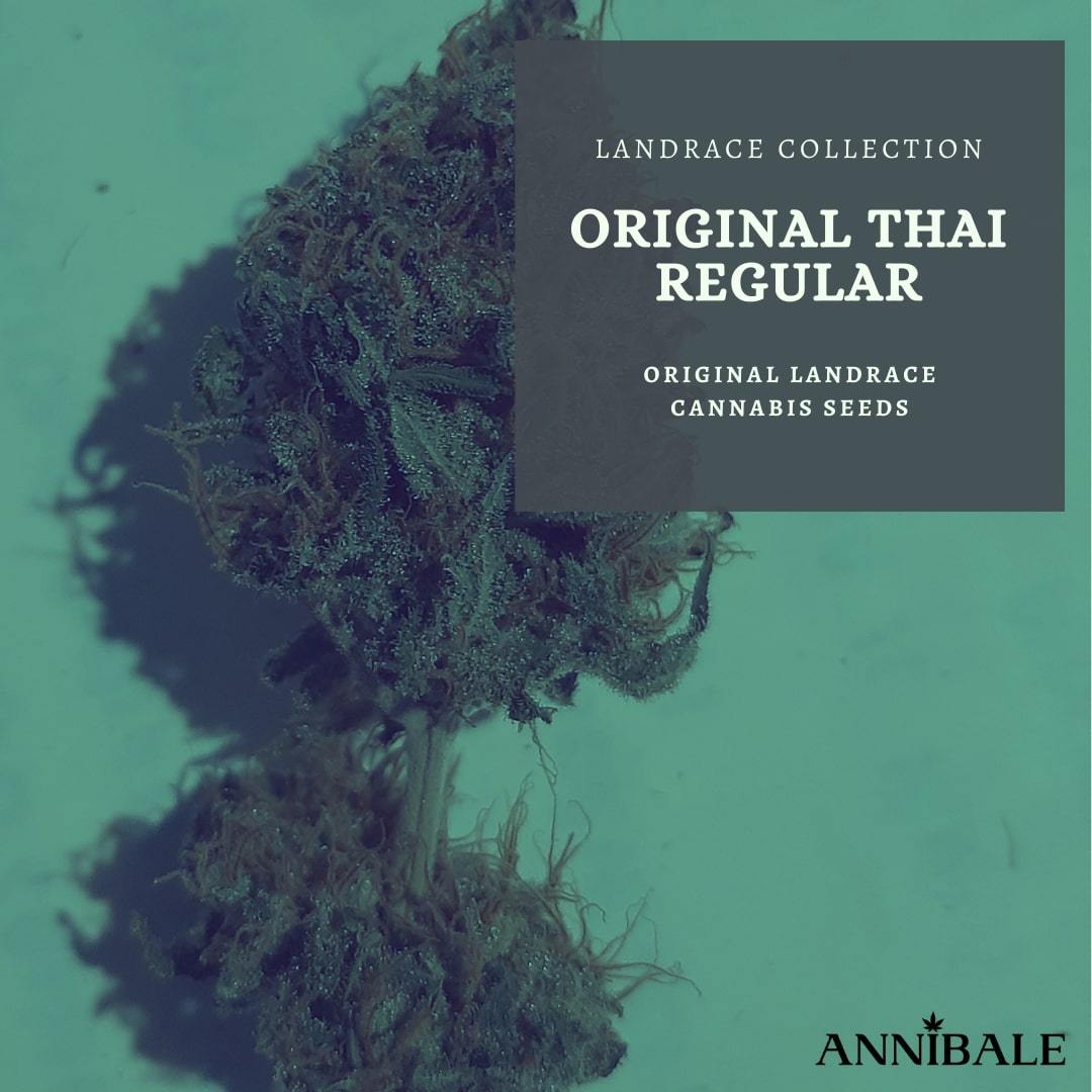 An image of Original Thai