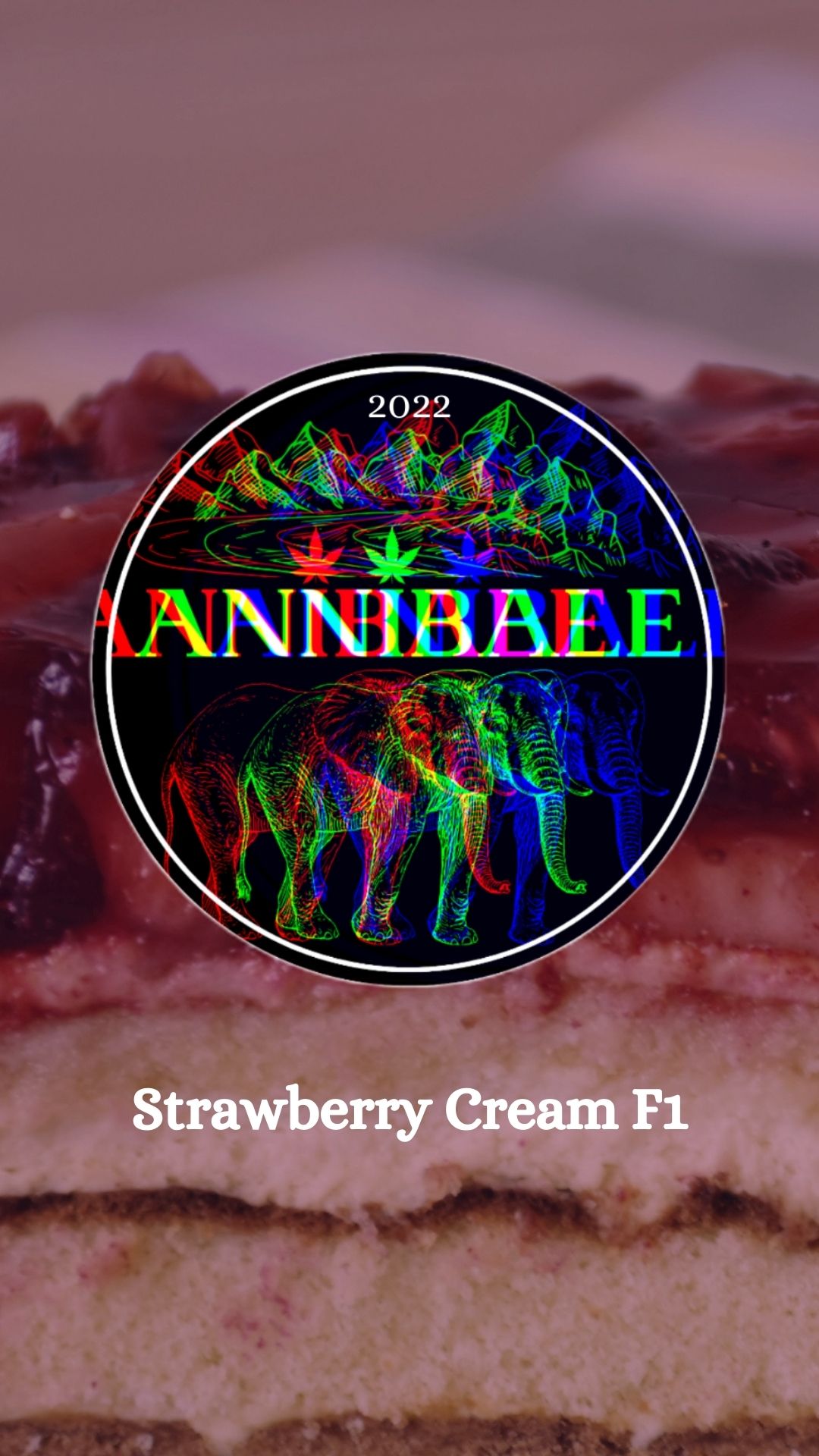 An image of Strawberry Cream