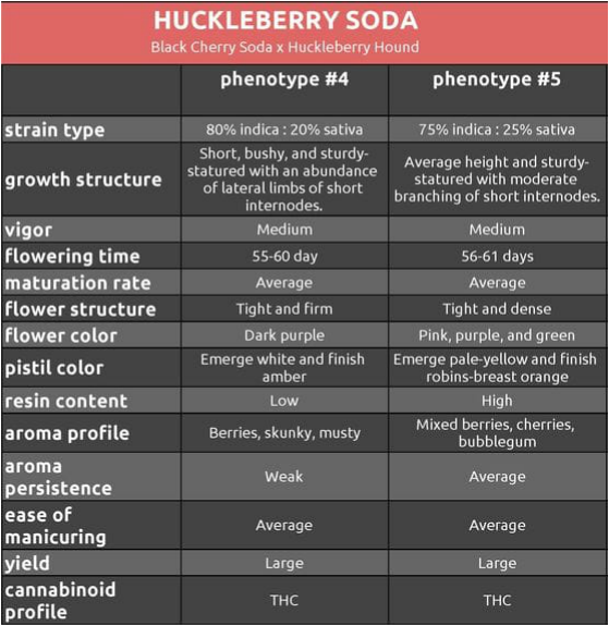 An image of Huckleberry Soda
