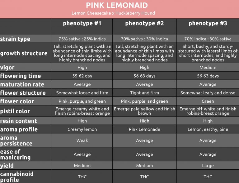 An image of Pink LemonAid
