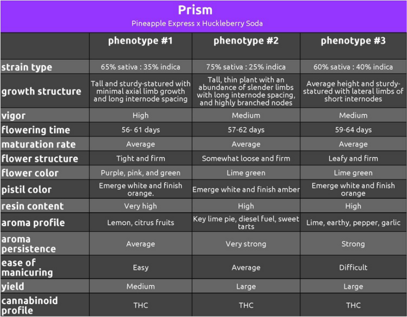 An image of Prism