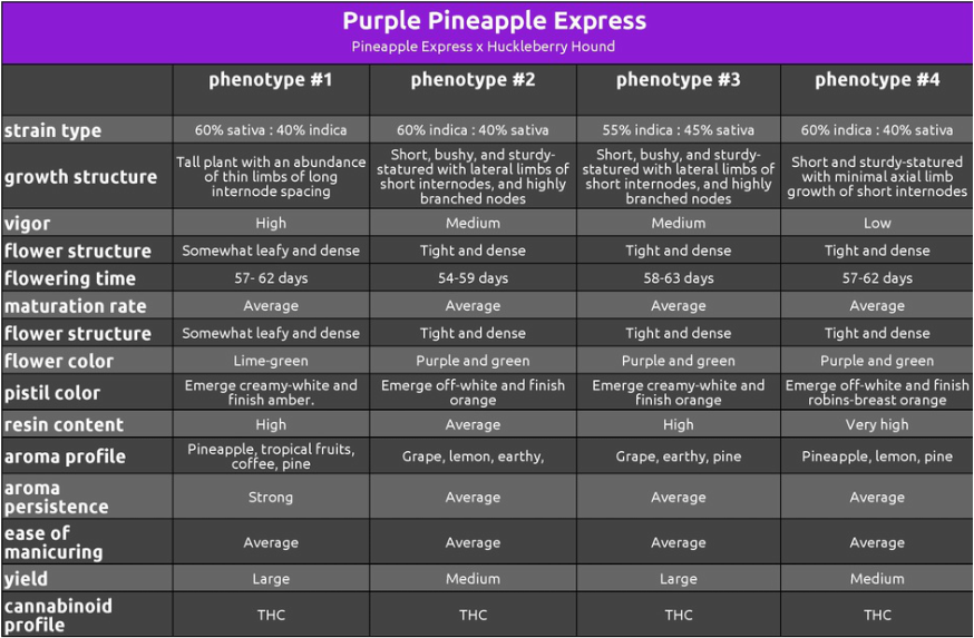 An image of Purple Pineapple Express