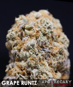 An image of Grape Runtz