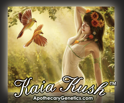 An image of Kaia Kush