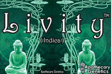An image of Livity